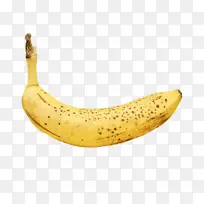 烹饪香蕉香蕉烹饪水果