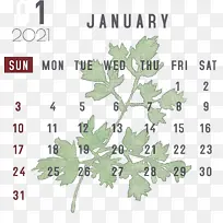 一月 一月日历 植物茎