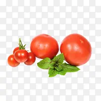 番茄 食品 食谱