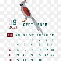 鸟类 鸟喙 日历系统