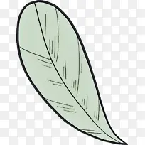 叶子 线条 羽毛