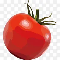 灌木番茄 天然食品 辣椒