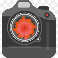 相机 花卉 植物