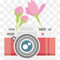 相机 花卉 花卉设计