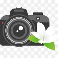 照相机 花卉 照相机镜头