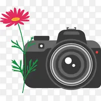 相机 花卉 相机镜头