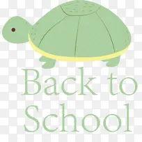 回到学校 乌龟 绿色