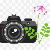 相机 花卉 相机镜头
