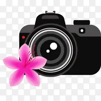 相机 花卉 数码相机