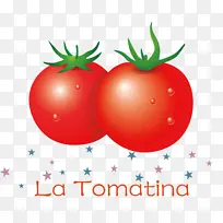 天然食品 本地食品 灌木番茄