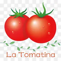 番茄 天然食品 灌木番茄