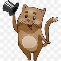 猫 小猫 胡须