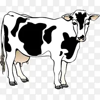 默拉水牛 荷斯坦弗里西亚牛 奶牛