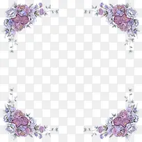 视觉艺术 花卉设计 紫罗兰