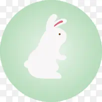 兔子 复活节兔子 绿色