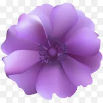 花朵 紫色 花卉设计