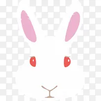 卡通兔子 可爱的兔子 兔子