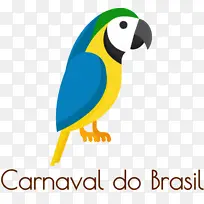 巴西狂欢节 金刚鹦鹉 喙