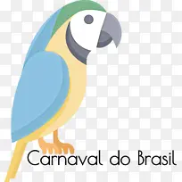 巴西狂欢节 鹦鹉 金刚鹦鹉