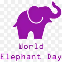世界大象日 大象 印度大象