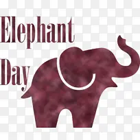 世界大象日 非洲大象 印度大象