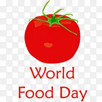 世界粮食日 番茄 天然食品