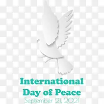 国际和平日 和平日 鸟类