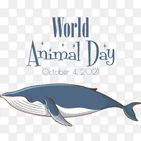 世界动物日 动物日 海豚