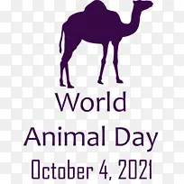 世界动物日 动物日 单峰骆驼