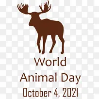 世界动物日 动物日 鹿