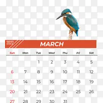 鸟类 喙 日历