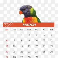 鹦鹉 喙 日历