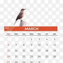 鸟类 日历 喙