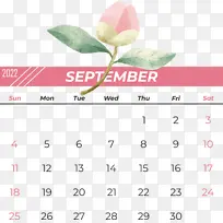 日历 花 花瓣