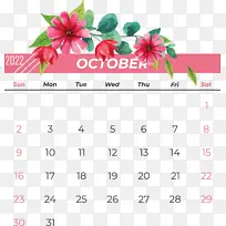 日历 花 花瓣