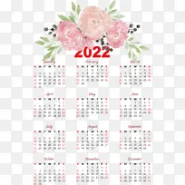 花卉 日历 仪表