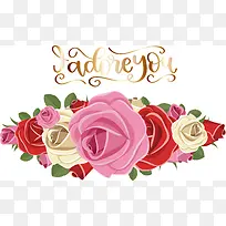 玫瑰 花园玫瑰 花朵
