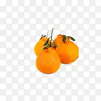 四个橙色四川特色水果丑桔