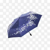 樱花雨伞