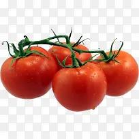 新鲜西红柿番茄圣女果