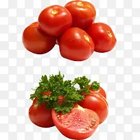 西红柿新鲜番茄圣女果