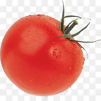 鲜红西红柿番茄圣女果