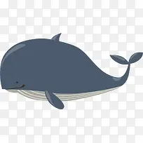 卡通鲸鱼免抠png装饰