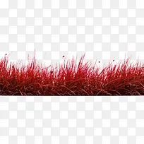 深红色草丛素材