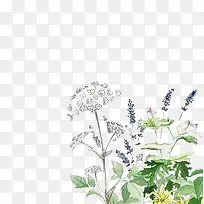 免抠卡通手绘春季花朵树叶装饰