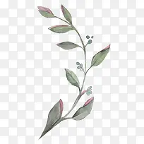 手绘水彩植物树叶绿叶