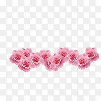 粉红色漂亮的玫瑰花