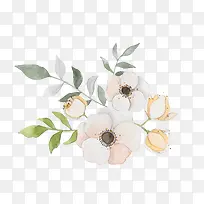 白色的花朵PNG