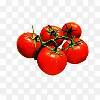圣女果 西红柿 番茄 红色