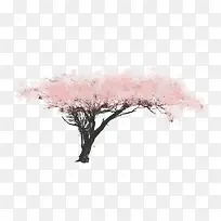 卡通樱花树PNG下载